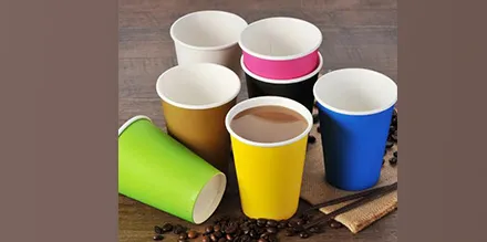/Market Segmentation and Opportunities in the Paper Cup Industry